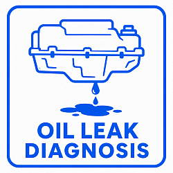 Oil Leak Diagnosis
